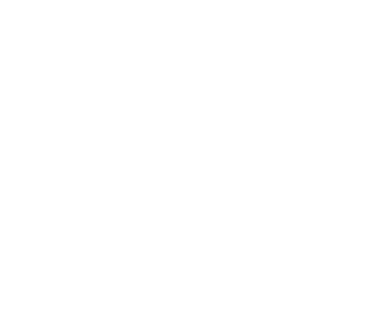 843 Roof